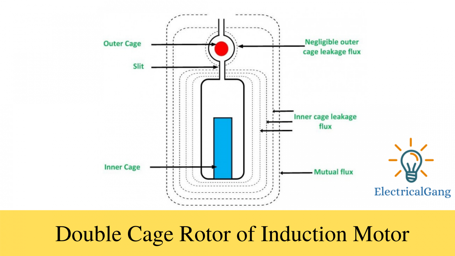 Double Cage Rotor Of Induction Motor Electricalgang
