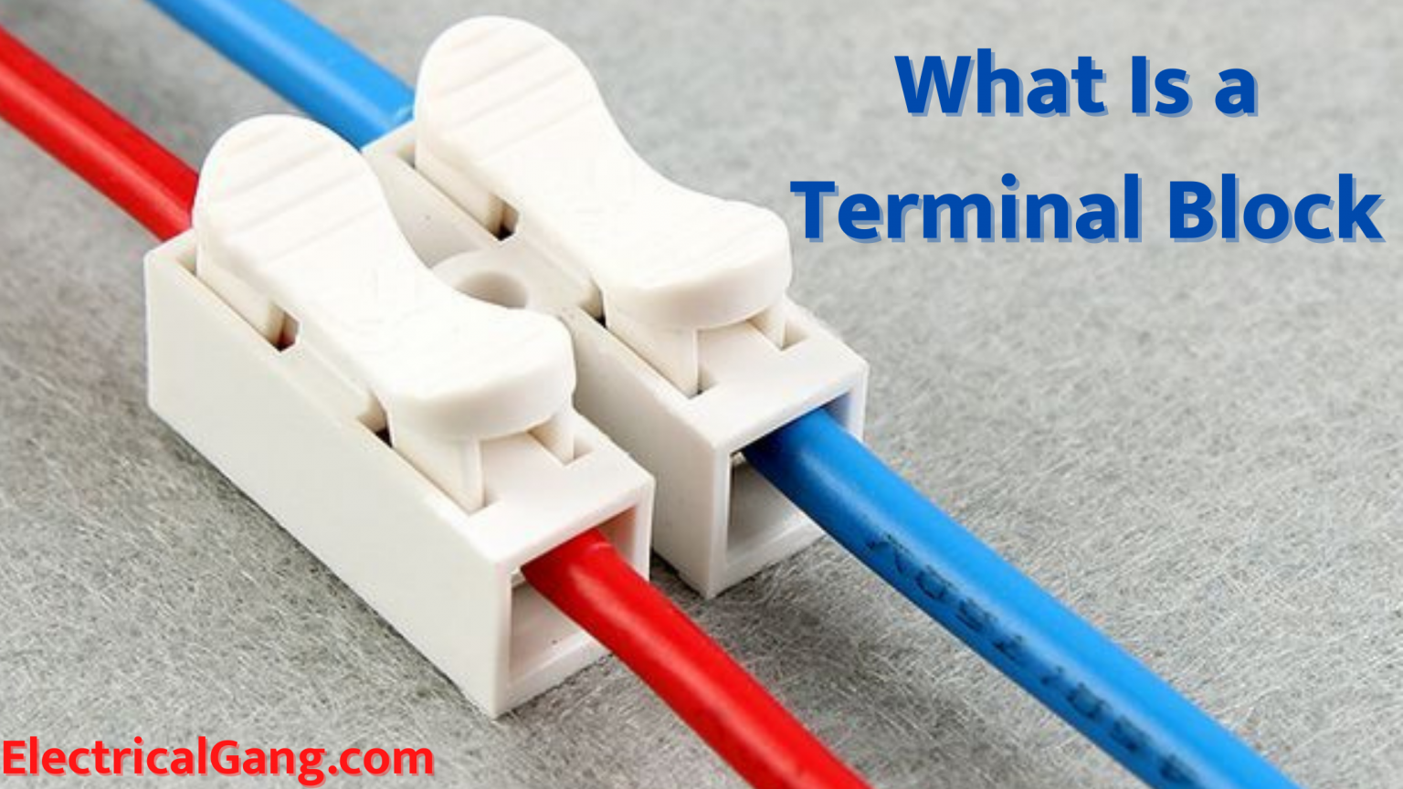 What Is a Terminal Block? Types of Terminal Blocks