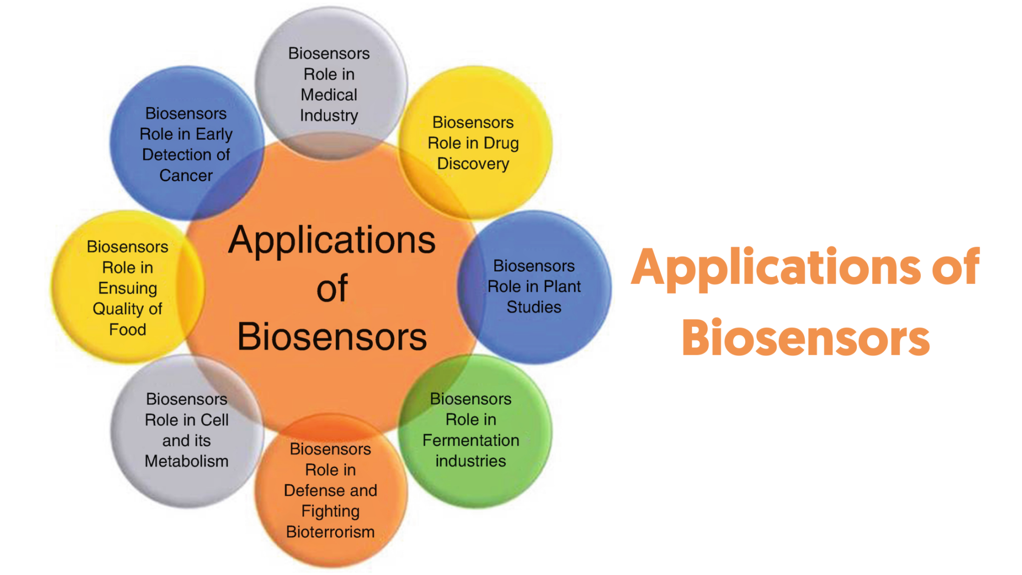 What Is A Biosensor Types Of Biosensor