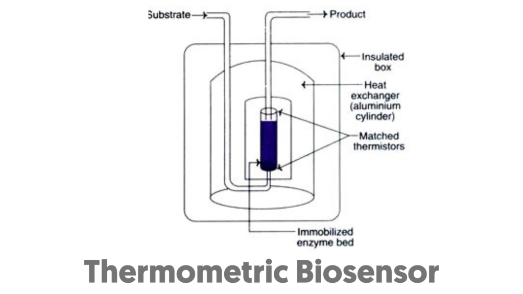 Thermometric Biosensor