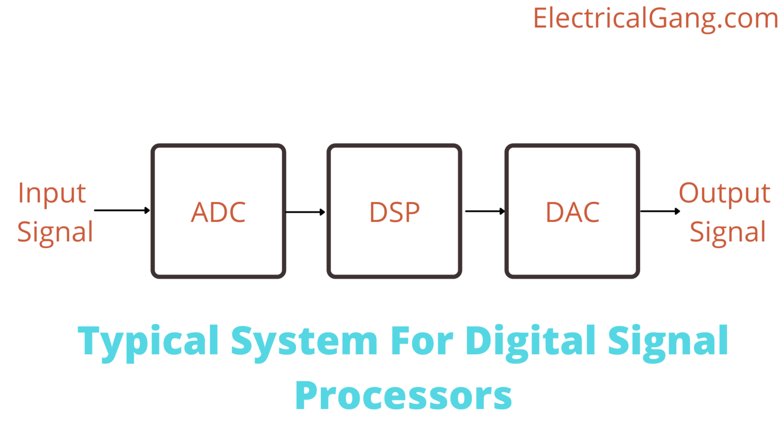 Exploring Different Types of Processors