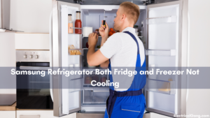 Samsung Refrigerator Both Fridge and Freezer Not Cooling