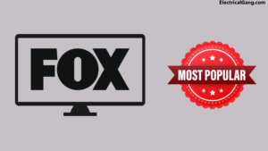A Popular Show on the Fox Network