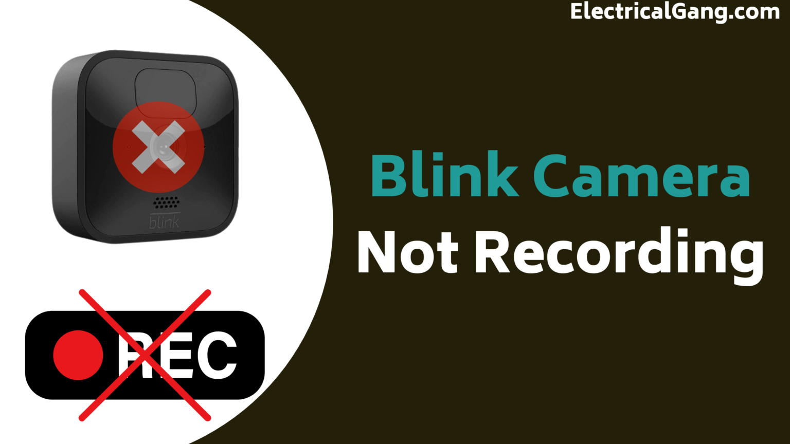 Blink Camera Not Recording Here’s How to Fix It!