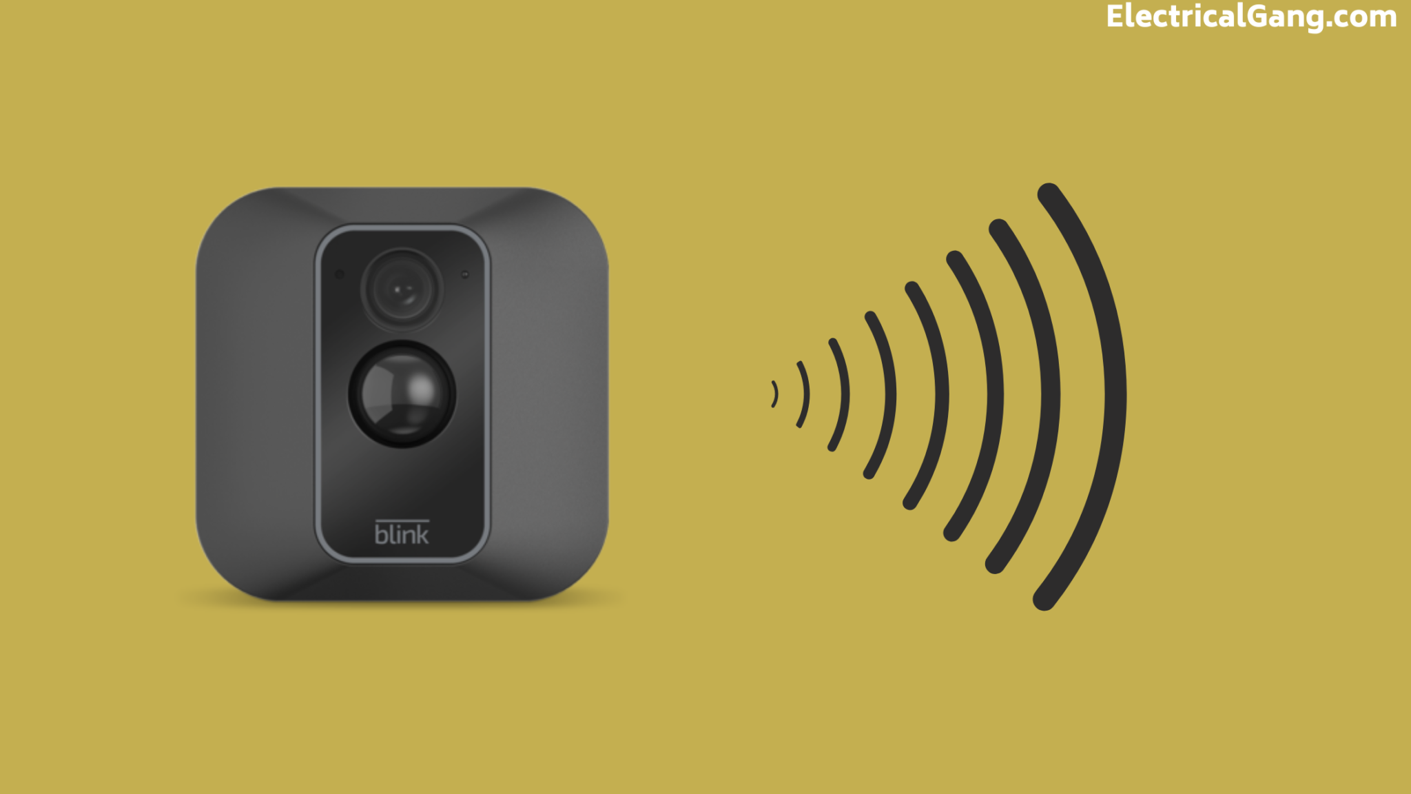 Blink Camera Not Recording Here’s How to Fix It!