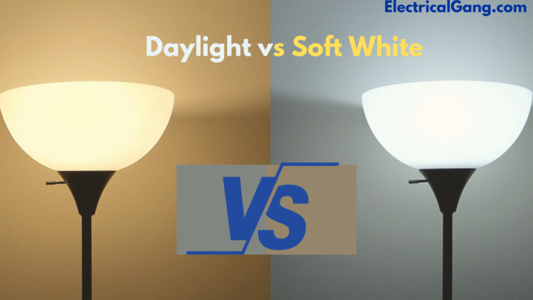 Daylight vs Soft White