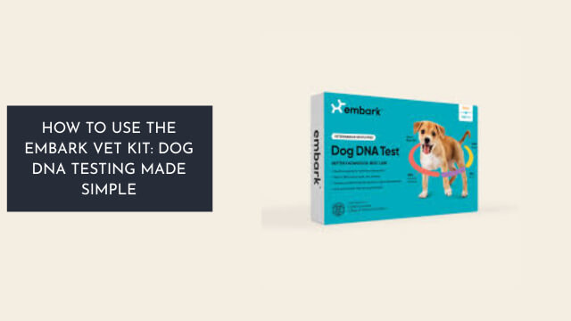 How to Use the Embark Vet Kit: Dog DNA Testing Made Simple